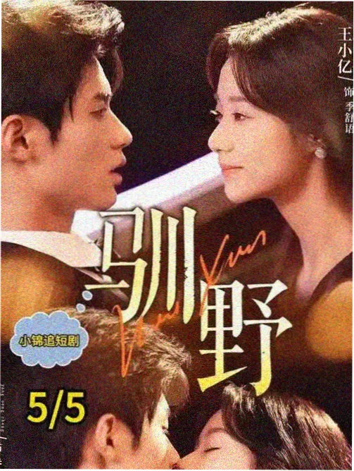 情事完整版主题曲与配乐封面