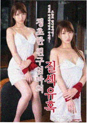 情事完整版主线人物档案封面