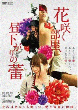 情事完整版时间线梳理封面